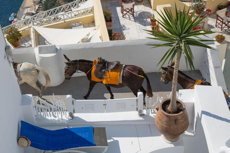 Fanari Vista Suites Fira  Eksteriør billede